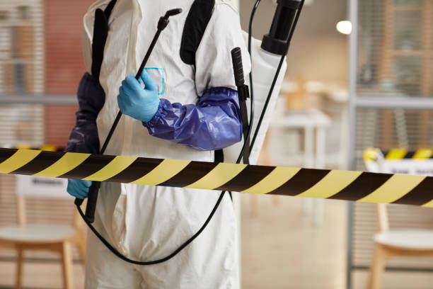 Professional Sewage Cleanup technician working in Lebanon, VA