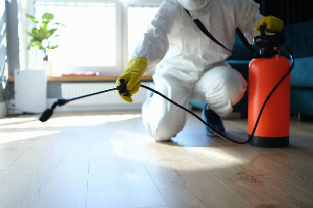 Reliable Sewage Cleanup contractor in Lebanon, VA by Trauma Clean Pros